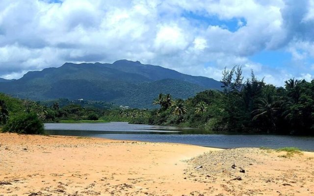 Peaceful ocean front home near Rainforest & rivers 102