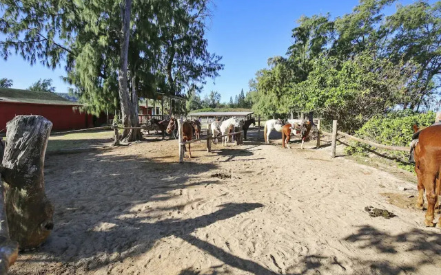 NorthShore Haven - 1 Br Condo