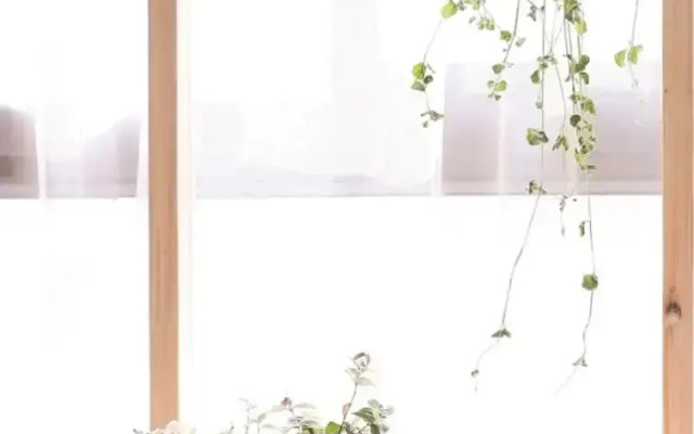 Wonderland - Kangding Loft