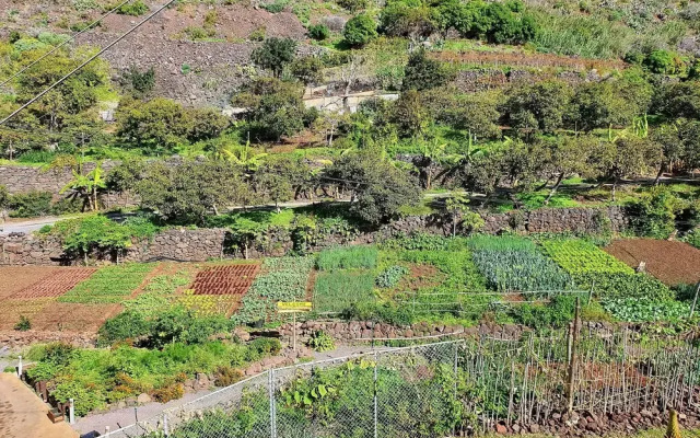 Fajã dos Padres