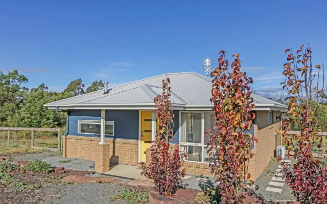 The Friendly Pelican