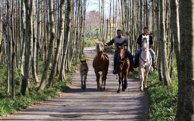 Agriturismo Sentiero Dei Sapori