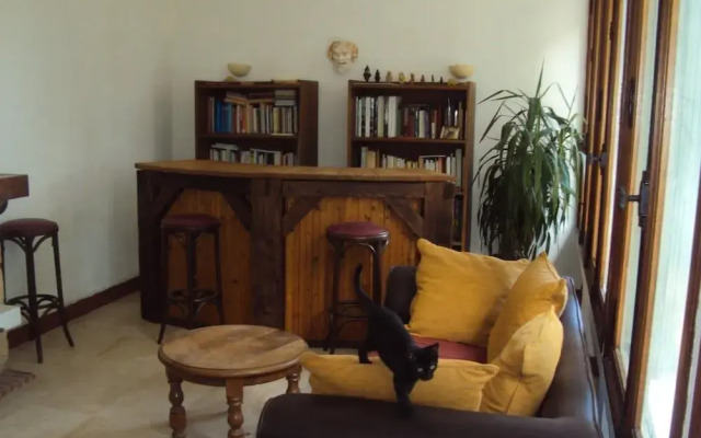 El gato negro
