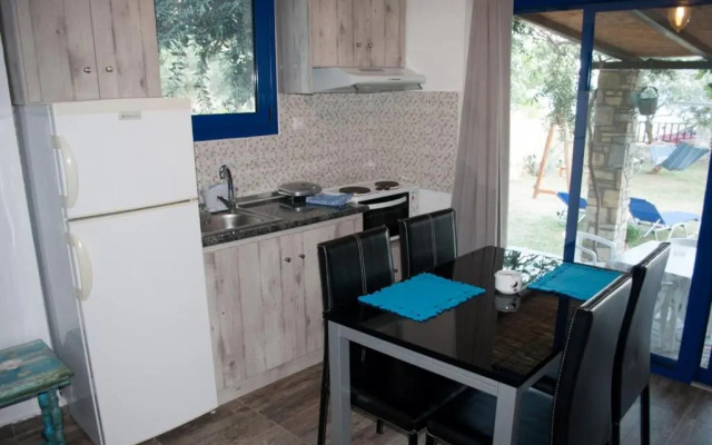 Blue Dreams Thimonia