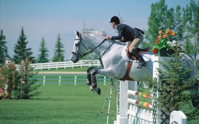 Holiday Inn Hotel & Suites Calgary South Conference Ctr