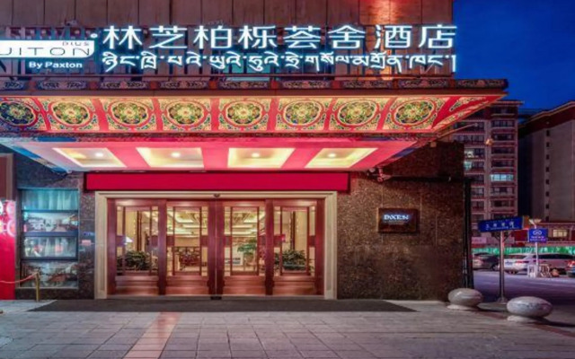 Suiton Plus By Paxton Linzhi