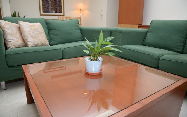 The Maple Suite
