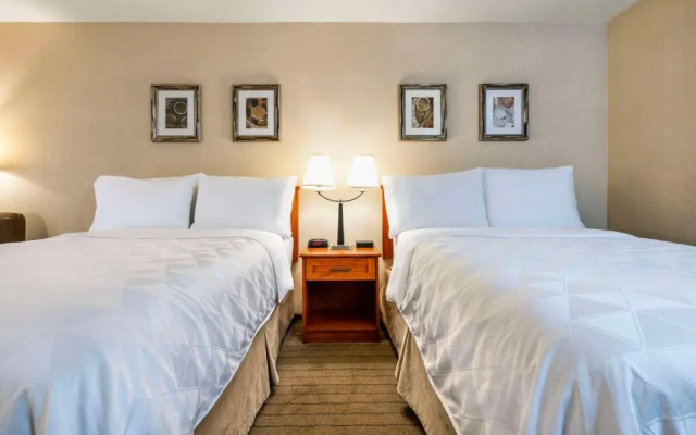 Holiday Inn Hotel & Conference Centre