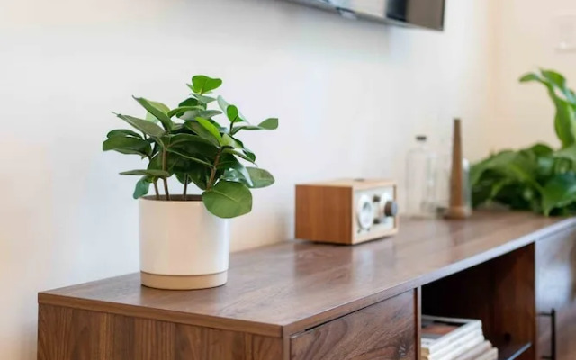 Bonaventure Furnished Apartments