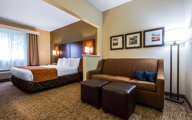 Comfort Suites Rochester Henrietta University Area