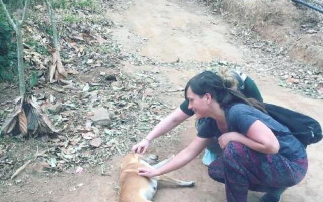 Tulsi Village Retreat Munnar