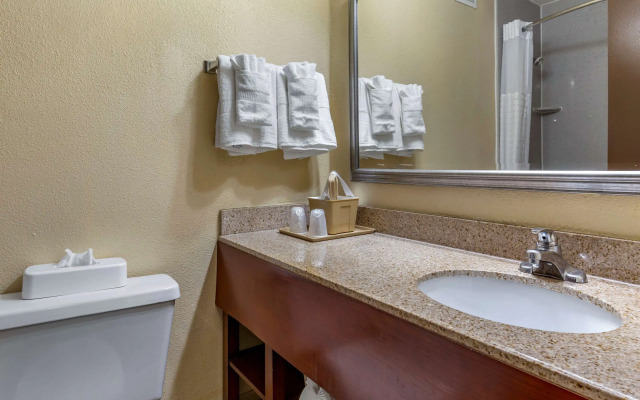 Comfort Inn Fort Mill Amusement Park at Carowinds Blvd