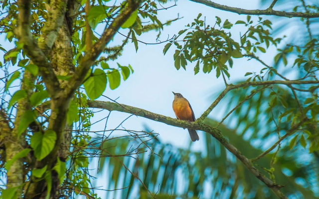 Pousada Vila Jacaa