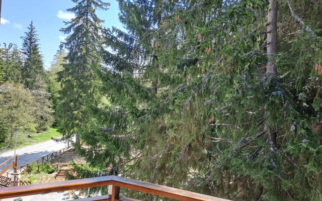 Villa Park Mountain Residence
