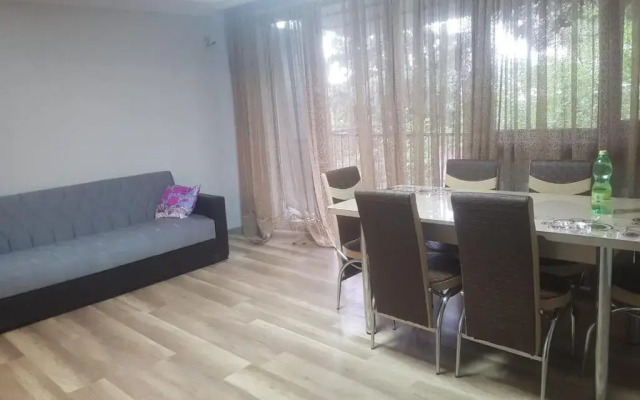 Gorgasali Street 111