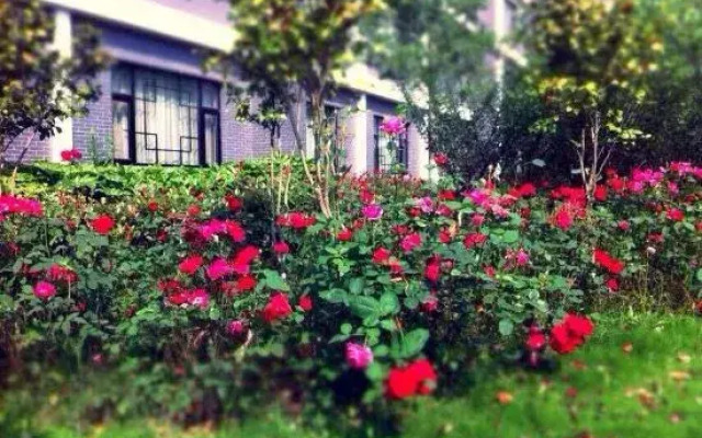 Dong Rong Resort Hotel