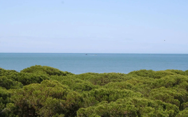 Vime Islantilla