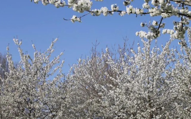 Agriturismo La Morla