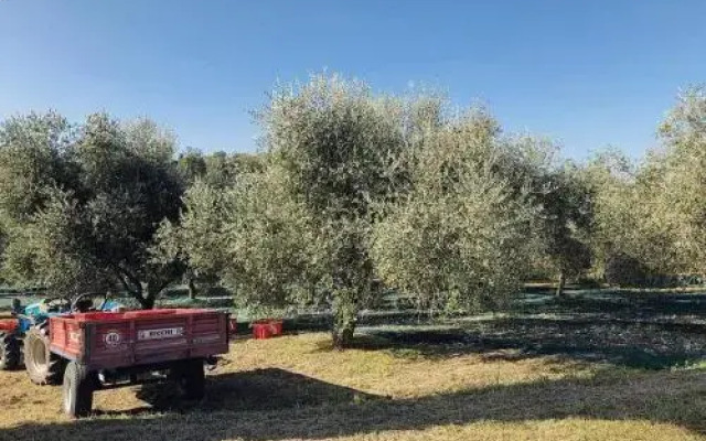 Residenza Monteporzano