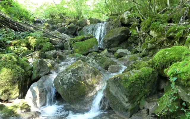 House By The Stream