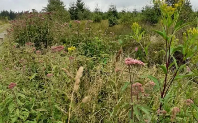T 'n D house/ Terrasses de Malmedy