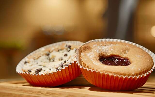 Best Western Plus Willmar