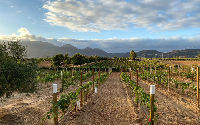 Villas en Los Retoños
