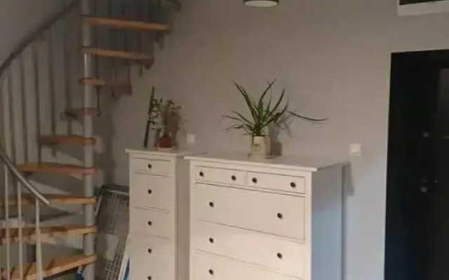 Apartament Loft 100 m2 Centrum Bydgoszcz
