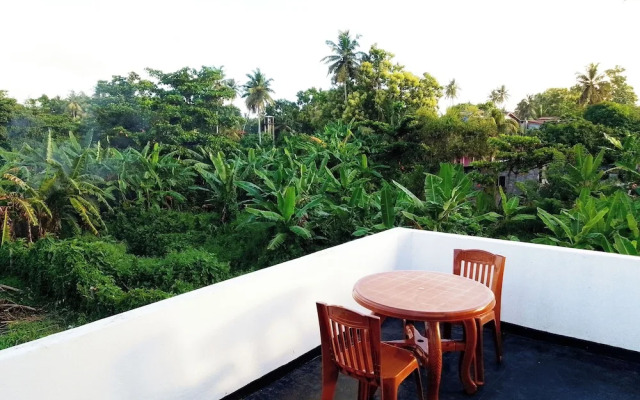 Tropical Suites