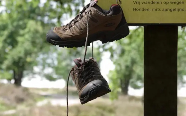 Bed&breakfast NummerZES