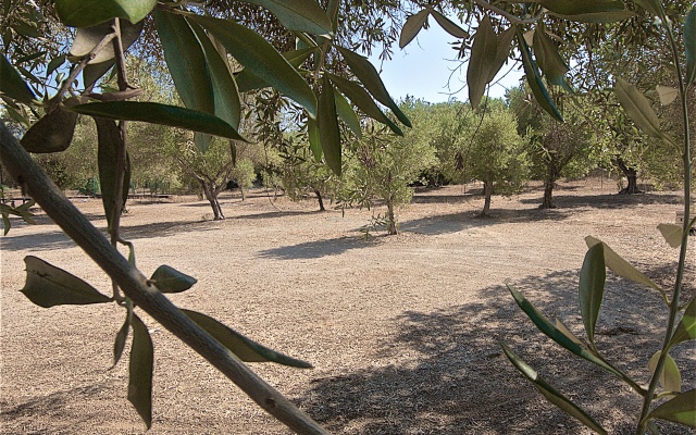 Hotel Masseria Resort Le Pajare