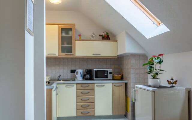 Apartments and Room Robert