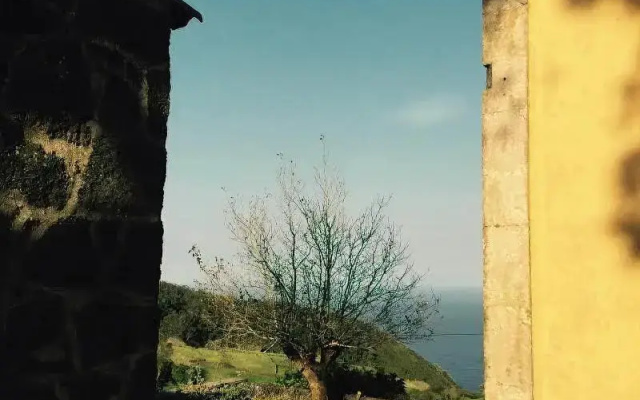 Serreta Island Home Al