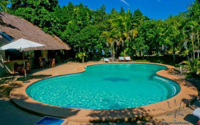 The Blue Orchid Resort