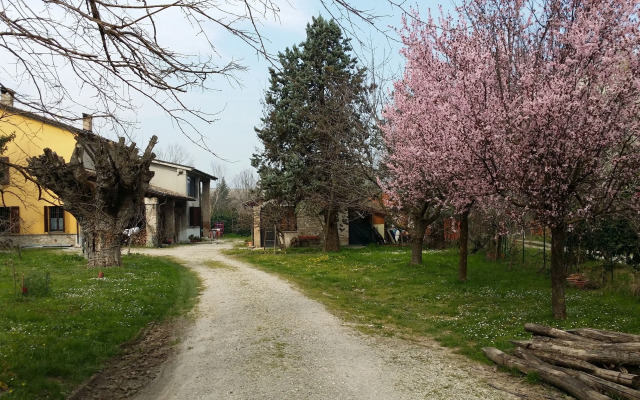 B&B L'Albero Cavo