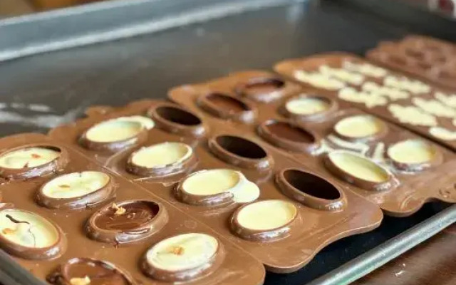 Coco Slow Travel Boutique Resort