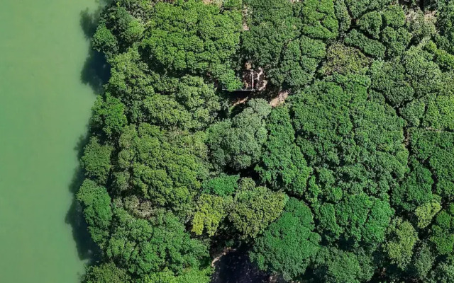REFUGIO Sabaneta de Yásica
