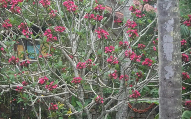 Pousada Portal dos Borbas