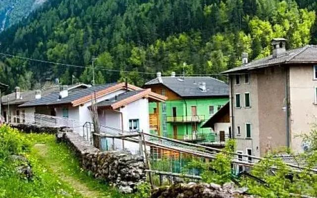 Il Bosco dei 100 Acri