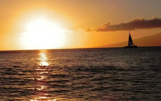The Mahana 813