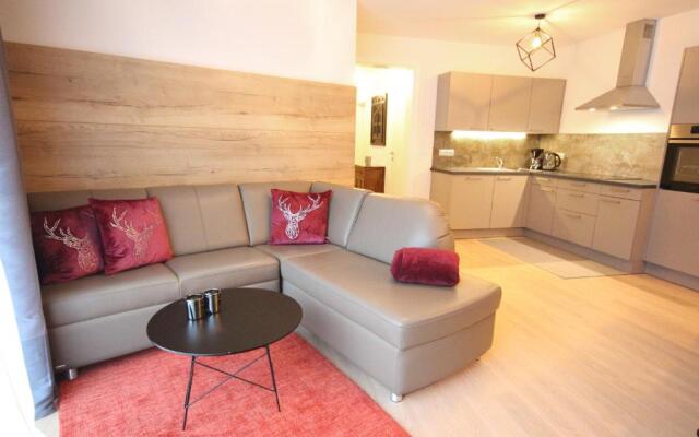 Appartements Parkgasse by Schladming-Appartements