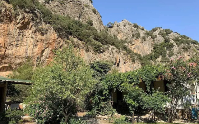 Kekik