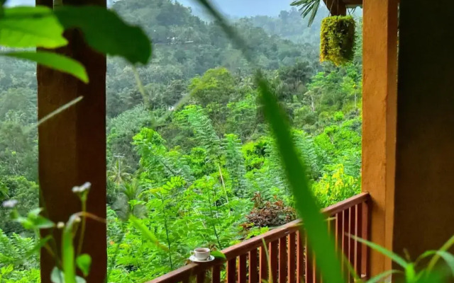 Rainforest Nature House