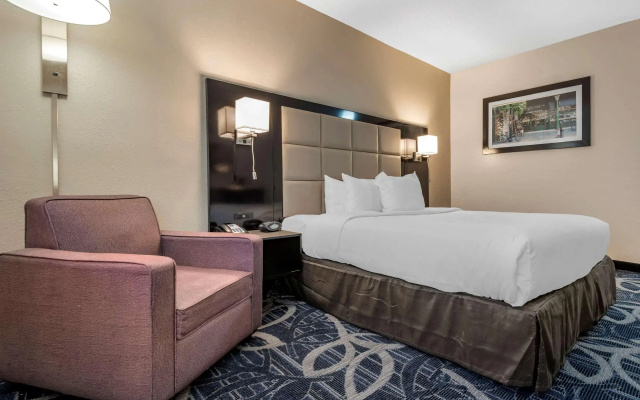 Comfort Inn & Suites Liverpool - Syracuse
