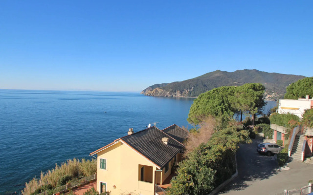 Locazione turistica Agave