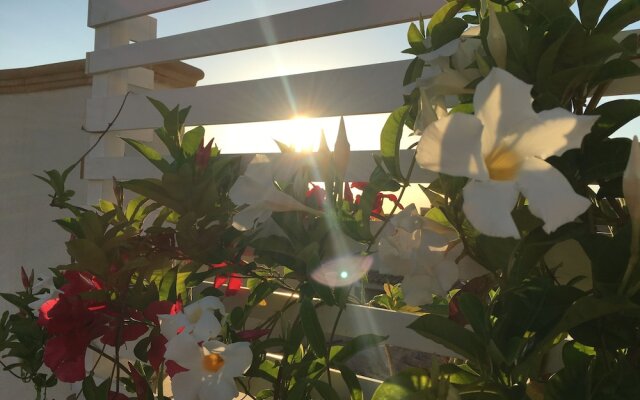 Olivella B&B