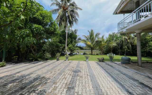 Morning Guest can see Momkeyies and Birds