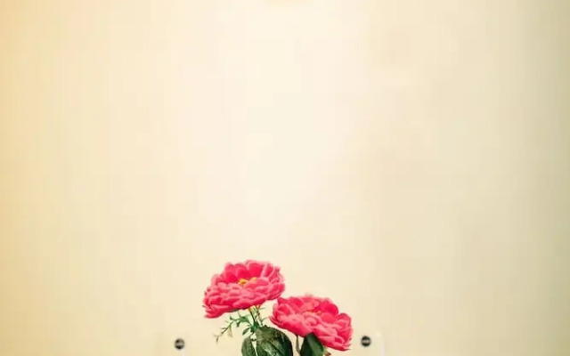 Rosy Home