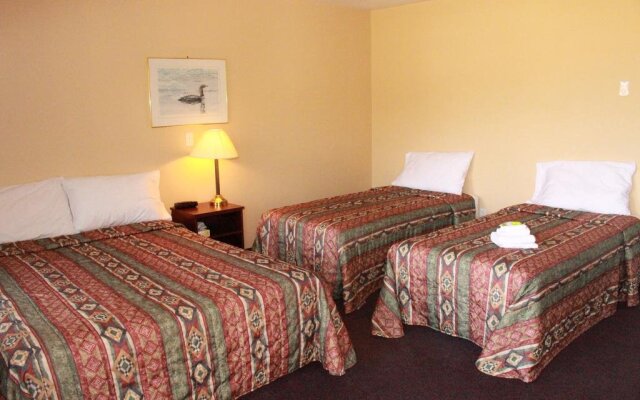 Parc de VR Royal-Papineau