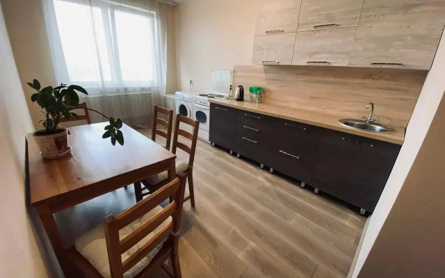 Apartments on Petra Podzolkova street 28